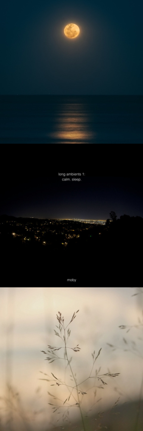 playlist cover
