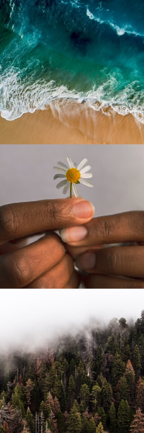 playlist cover